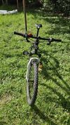 Kolo Scott Scale junior 24´