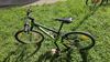 Kolo Scott Scale junior 24´