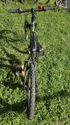 Kolo Scott Scale junior 24´
