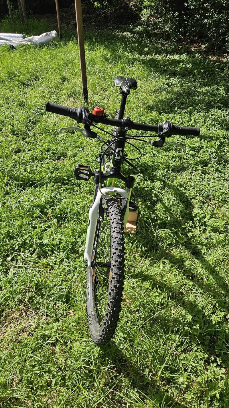 Kolo Scott Scale junior 24´