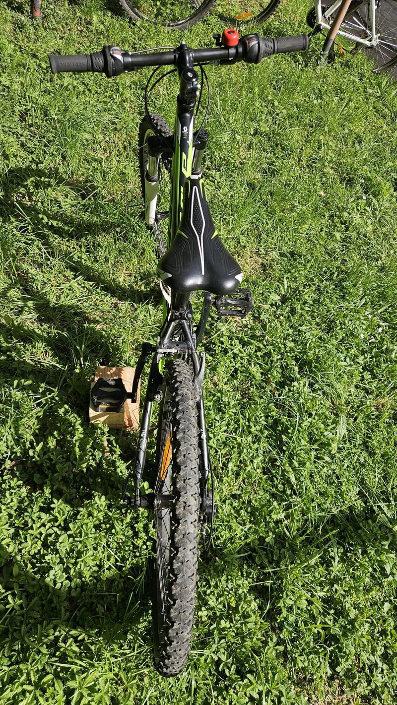 Kolo Scott Scale junior 24´