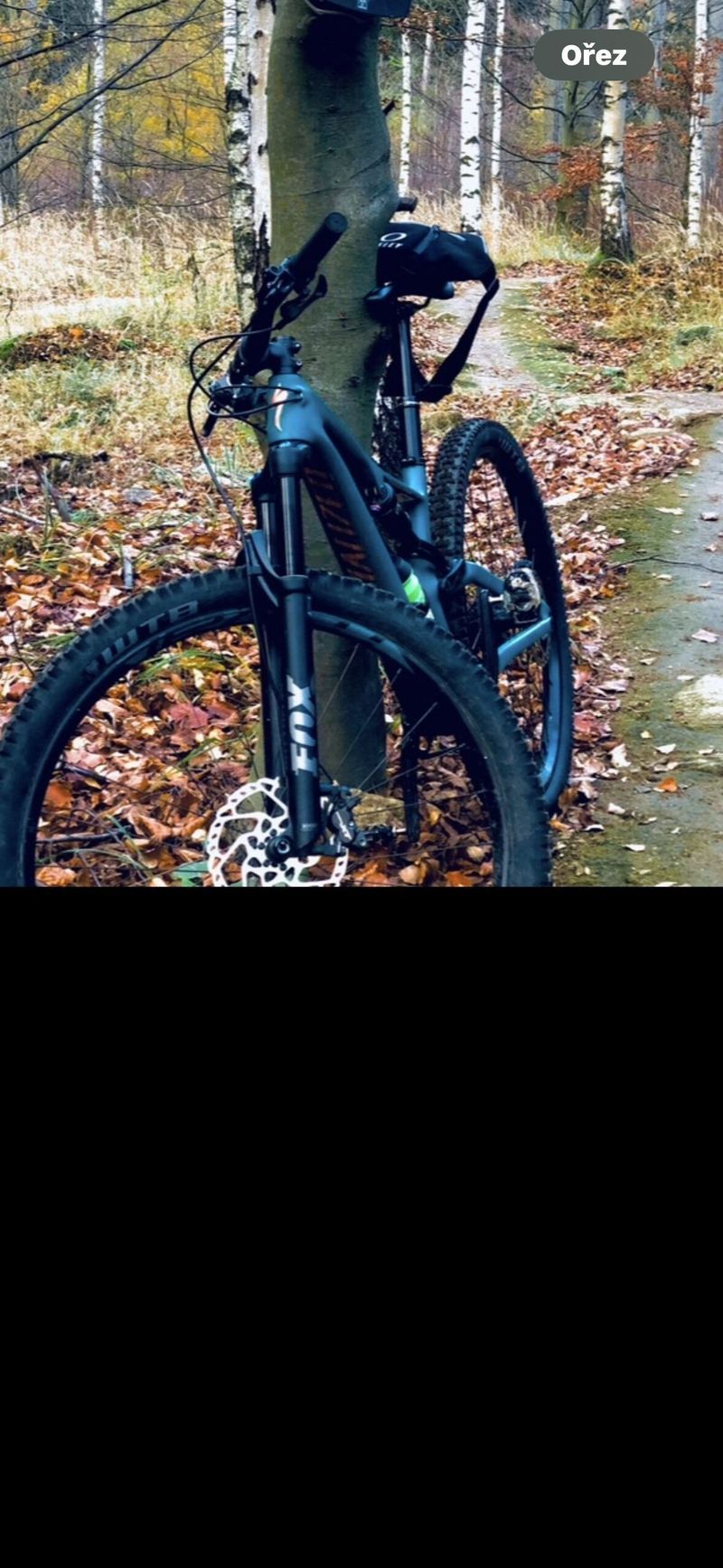 Stumpjumper 