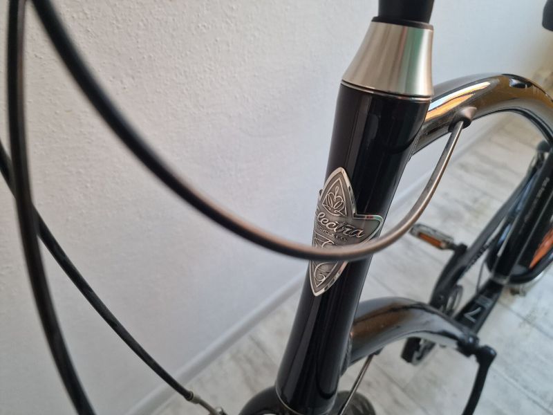 Prodám kolo Electra Townie 7d
