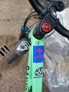 Canyon Spectral CF8 2021 L