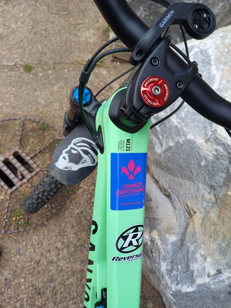 Canyon Spectral CF8 2021 L