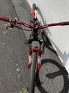 Cachet XX Dirt jump custom 