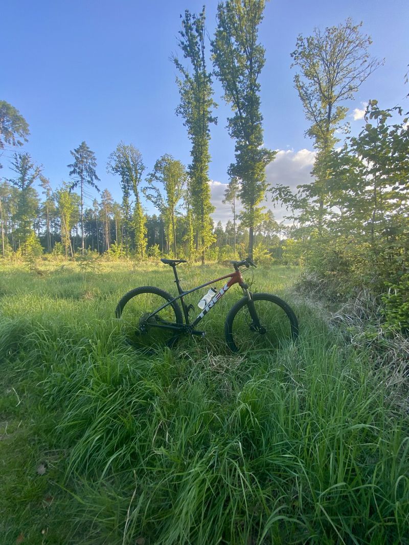 Trek marlin 6