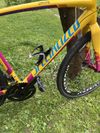 Specialized Crux gravel