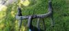 TREK DOMANE SL 5 56 2025