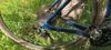 TREK DOMANE SL 5 56 2025