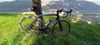 TREK DOMANE SL 5 56 2025