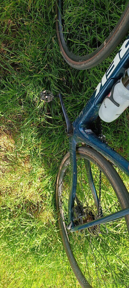 TREK DOMANE SL 5 56 2025