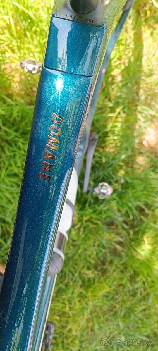 TREK DOMANE SL 5 56 2025