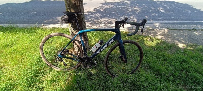 TREK DOMANE SL 5 56 2025