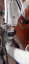 Pinarello Prince SL