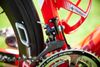 Cento1 SR TOP stav + Campagnolo Chorus