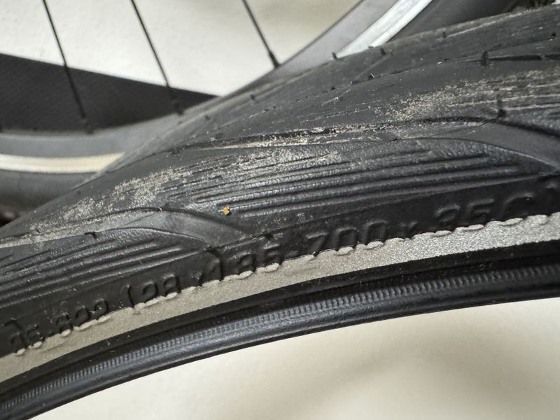 Schwalbe Spicer Plus Green Compound