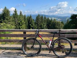 Celokarbonové horské kolo Mondraker Podium Carbon 29 (SPE), velikost M, průměr kol 29