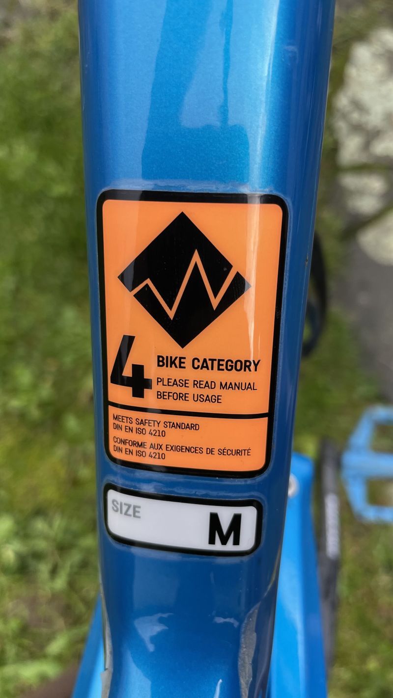 Canyon Strive cf