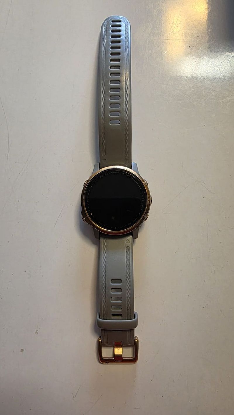 Garmin fenix 6s sapphire 
