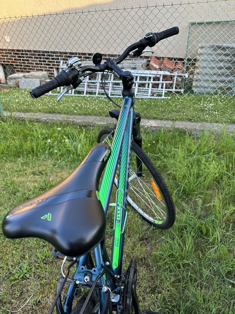 Alpina ECO T10