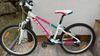Haibike 24
