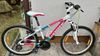 Haibike 24