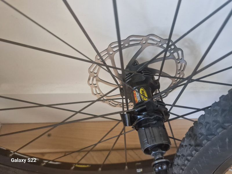 Kola 26" Mavic CrossRide
