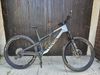 CANYON NEURON 2023