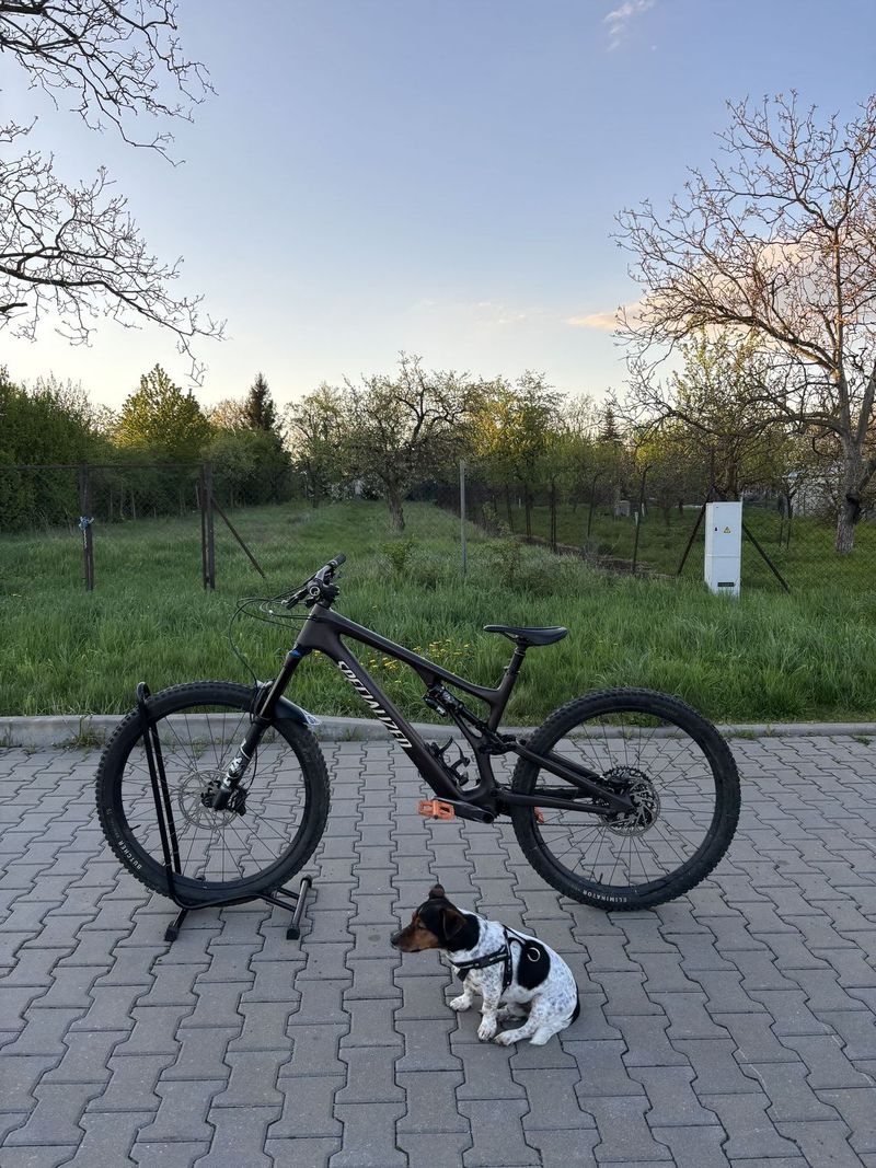Specialized Stumpjumper Evo Comp 2023