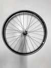 Roval Traverse Carbon 29 Boost – karbonová kola s DT Ratchet 