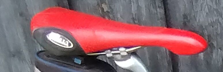 Sedlo Selle Itália Flite 