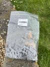 SPECIALIZED ROCKHOPPER COMP