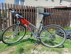 Dívčí/dámské trekové kolo Dominator Detroit 