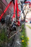 Silniční kolo Sintesi Morzine (vel. L, karbon) – po servisu, výborný stav, výbava Campagnolo Mirage 