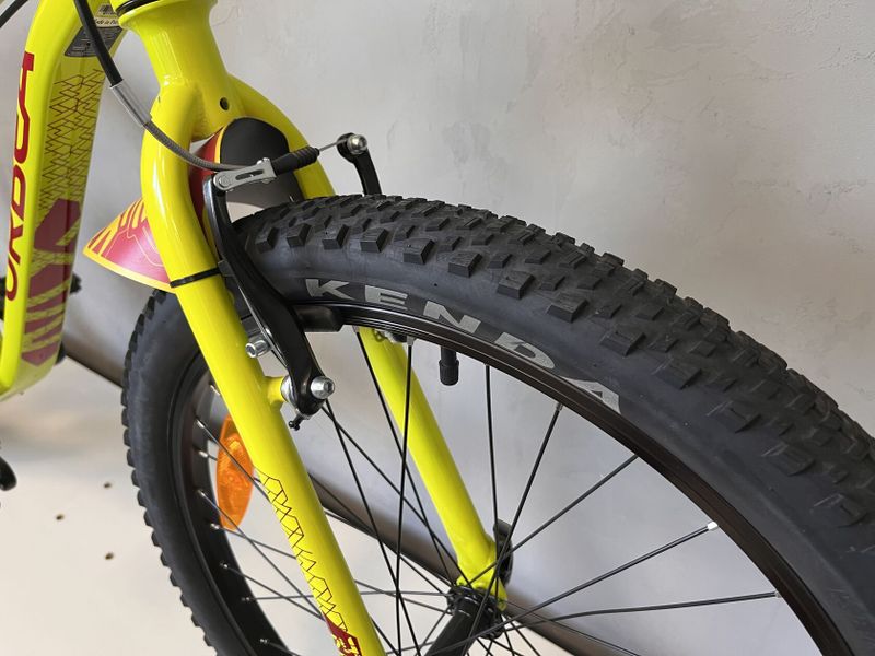 Orbea MX 24 Dirt