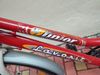 Kolo Favorit junior 24"