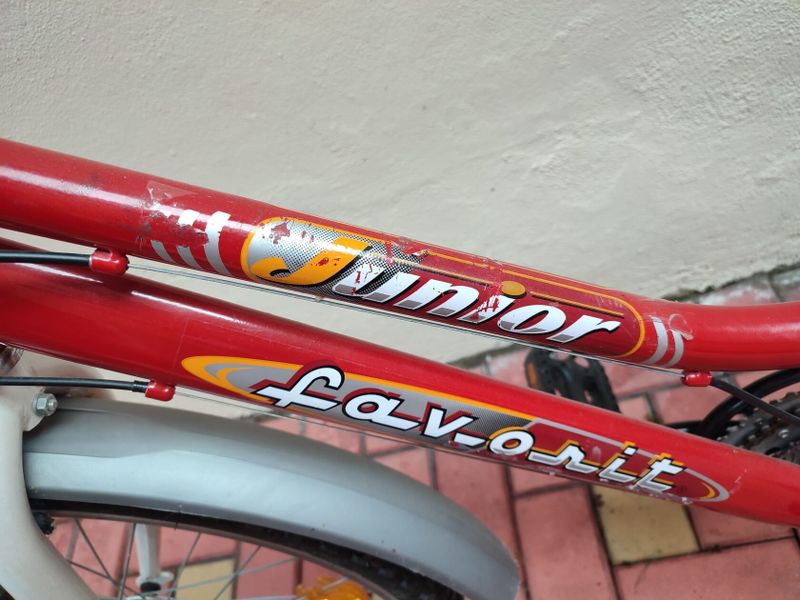 Kolo Favorit junior 24"