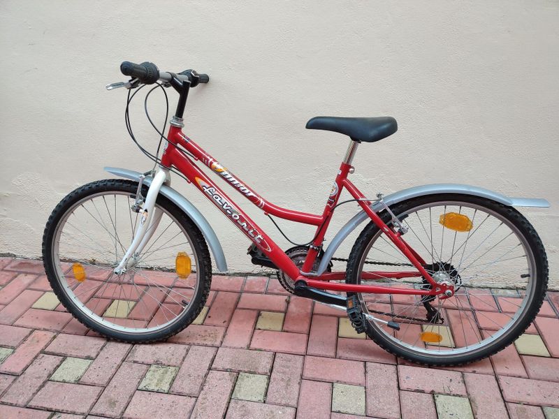 Kolo Favorit junior 24"