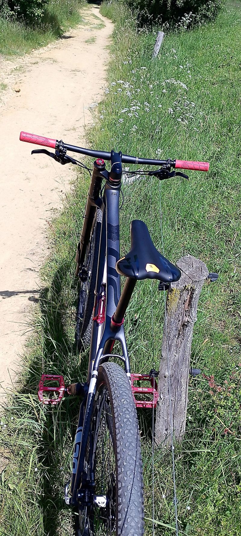Cannondale Si - Lefty Top!