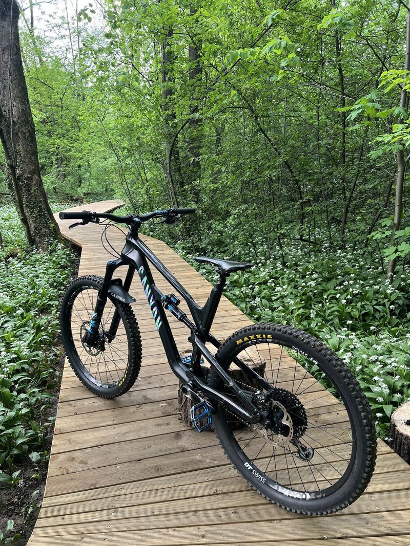 Custom Canyon Spectral