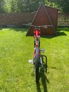 Specialized demo 8