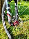 Lehké kolo Orbea 