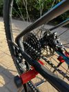 Focus Raven 29er, vel. M