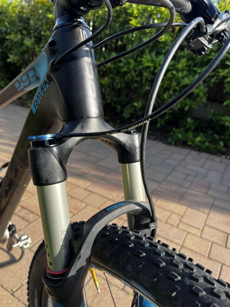 Focus Raven 29er, vel. M