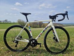 Trek Emonda ALR 5 Palmares Edition