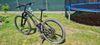 Dartmoor Hornet vel.S