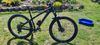 Dartmoor Hornet vel.S