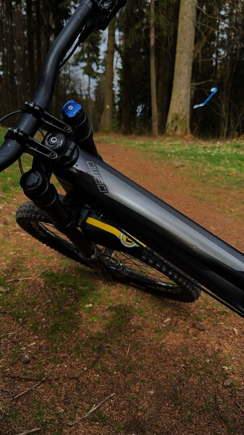 SPECIALIZED DEMO CARBON 