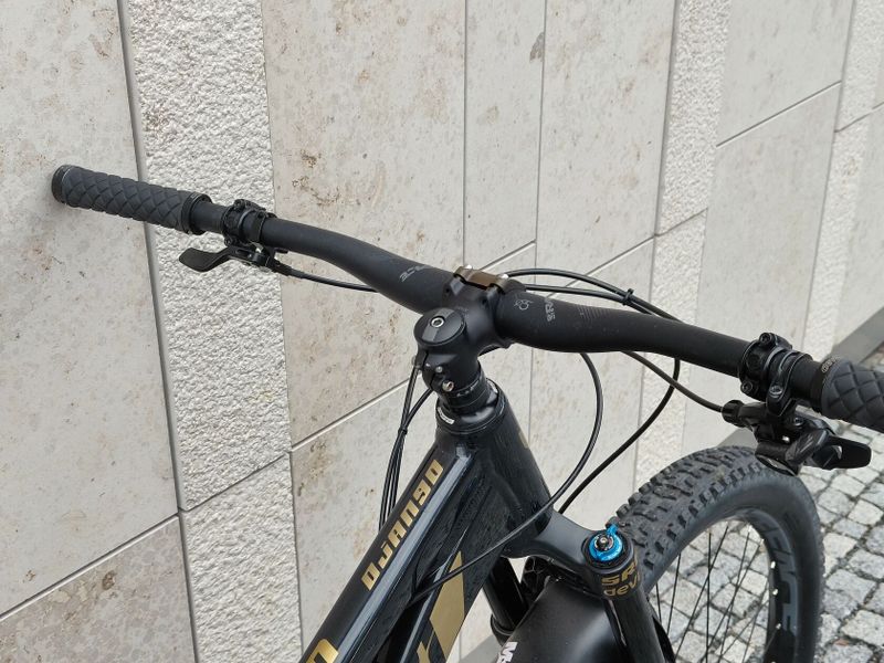 Devinci Django 29" XX1 Eagle XL Wibmer